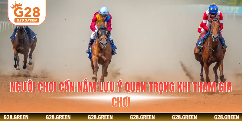 Người chơi cần nắm lưu ý quan trọng khi tham gia chơi